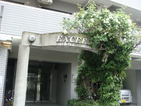 �������ߡ֡׳���