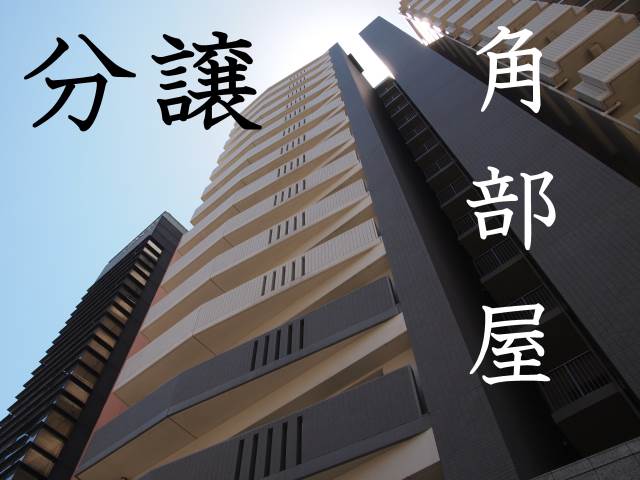 �������ߡ֡׳���