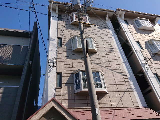 �������ߡ֡׳���