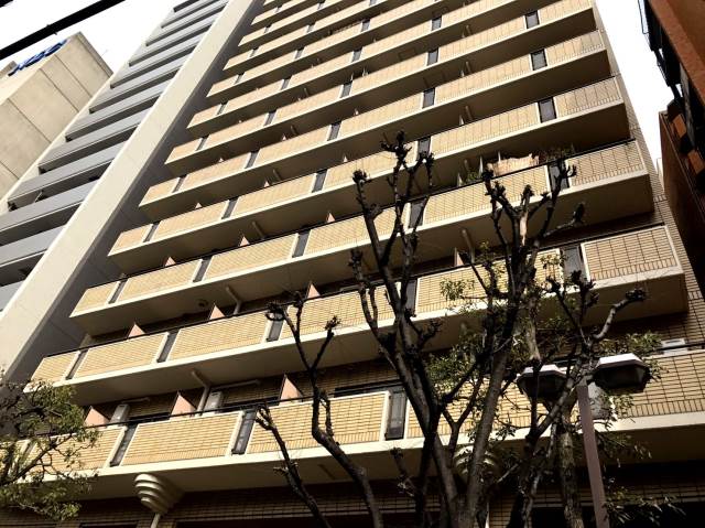 �������ߡ֡׳���