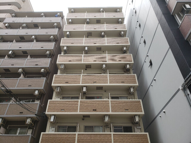 �������ߡ֡׳���