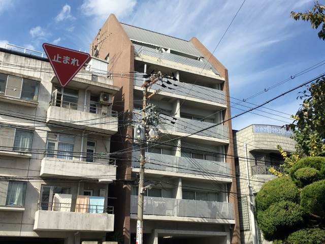 �������ߡ֡׳���