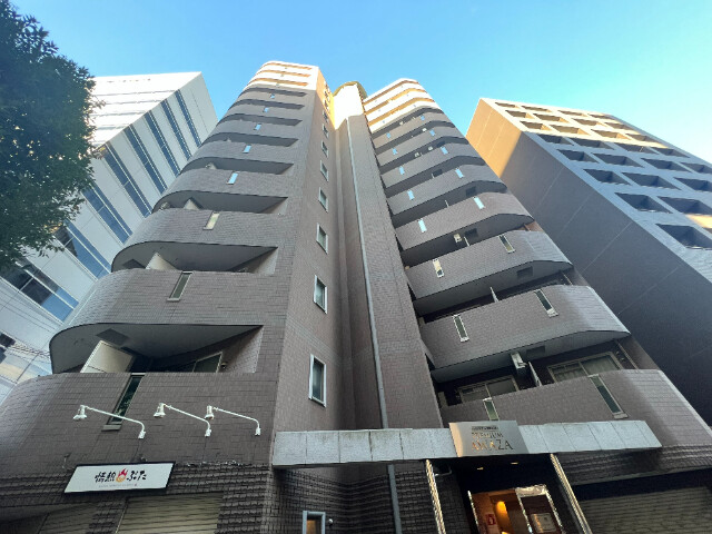 �������ߡ֡׳���