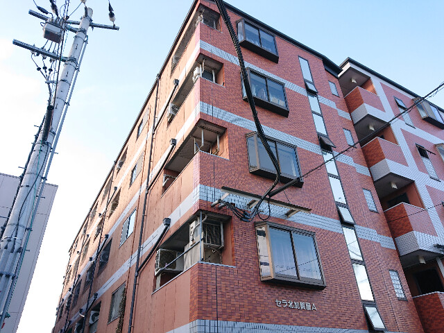 �������ߡ֡׳���