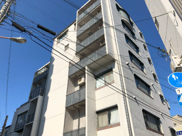 �������ߡ֡׳���