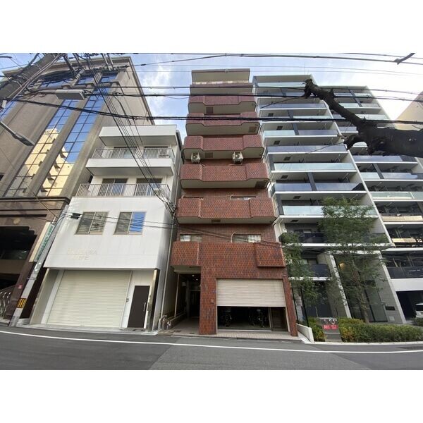 �������ߡ֡׳���