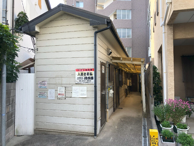 �������ߡ֡׳���