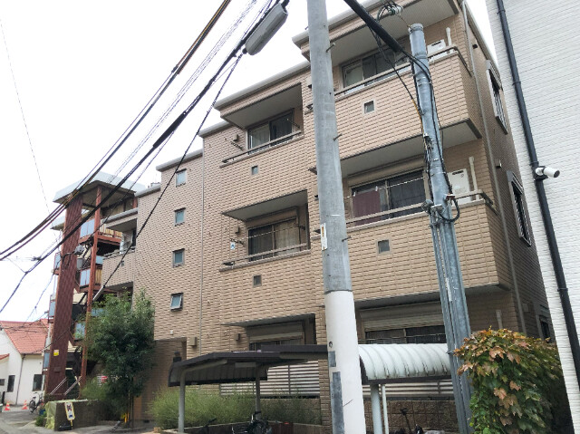 �������ߡ֡׳���