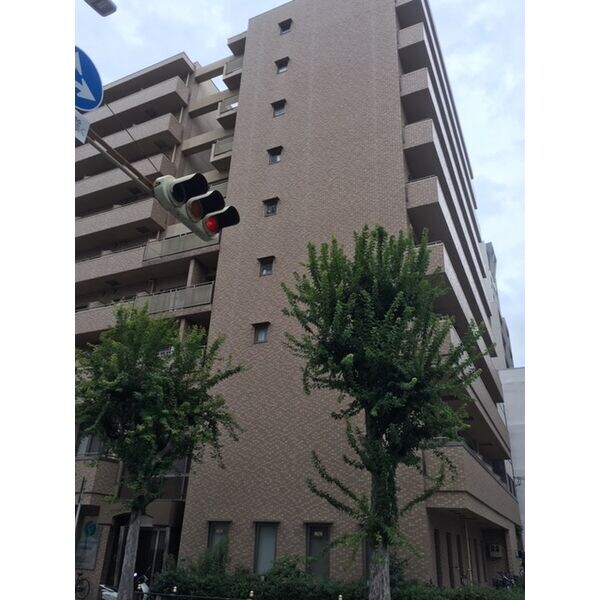 �������ߡ֡׳���