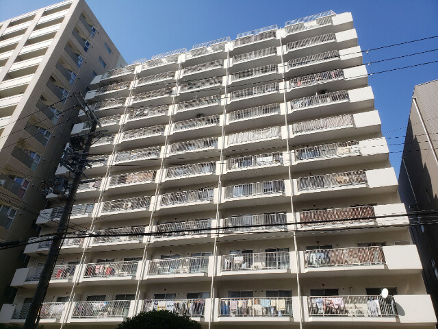 �������ߡ֡׳���