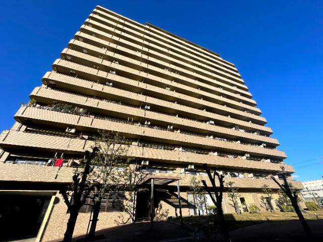 �������ߡ֡׳���