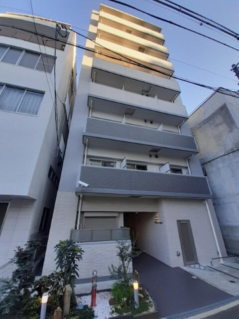 �������ߡ֡׳���