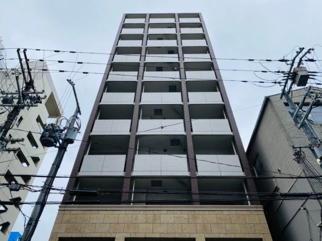 �������ߡ֡׳���