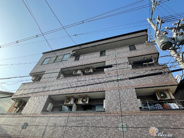 �������ߡ֡׳���