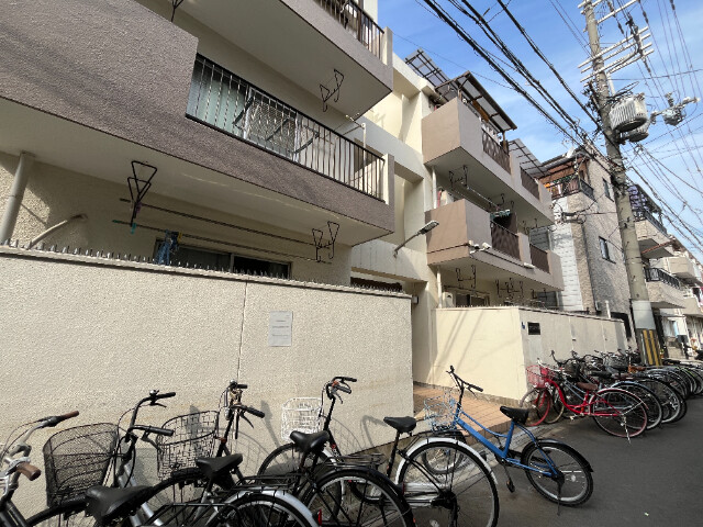 �������ߡ֡׳���