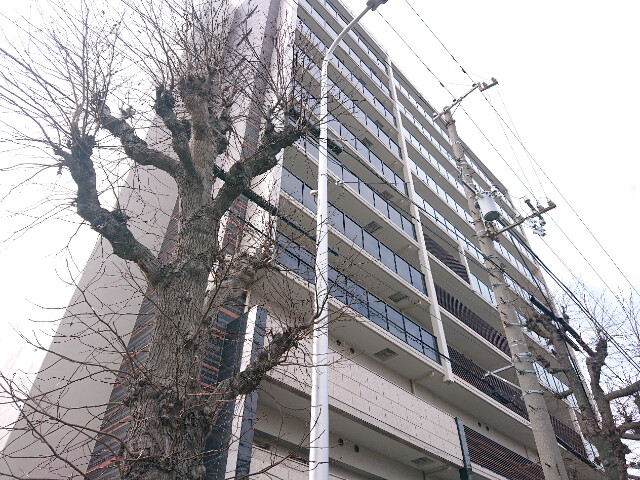 �������ߡ֡׳���