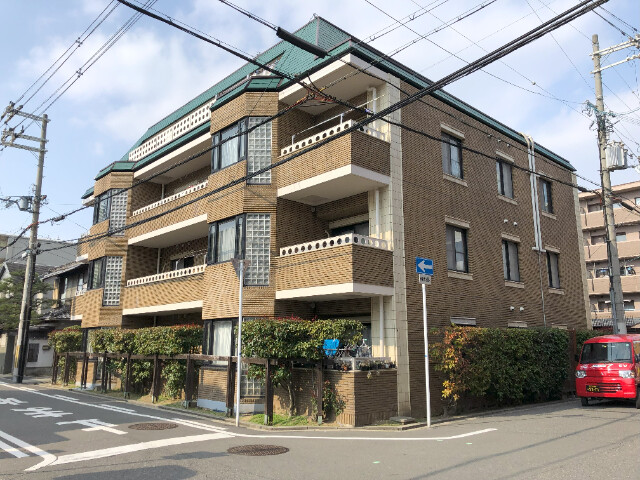 �������ߡ֡׳���