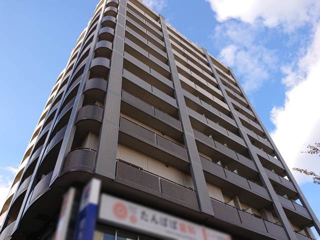 �������ߡ֡׳���