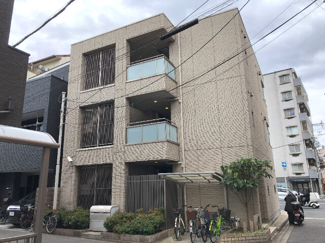 �������ߡ֡׳���