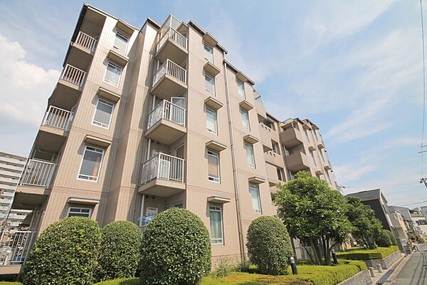 �������ߡ֡׳���