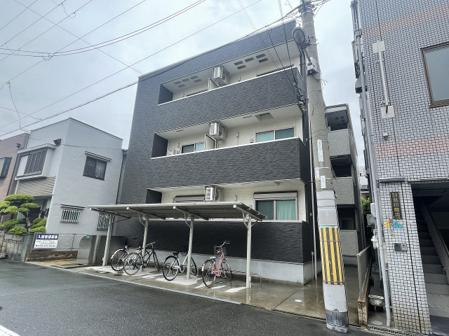 �������ߡ֡׳���