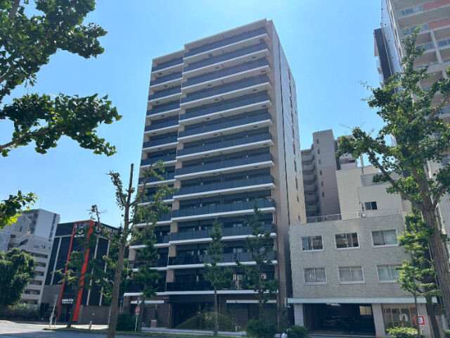 �������ߡ֡׳���