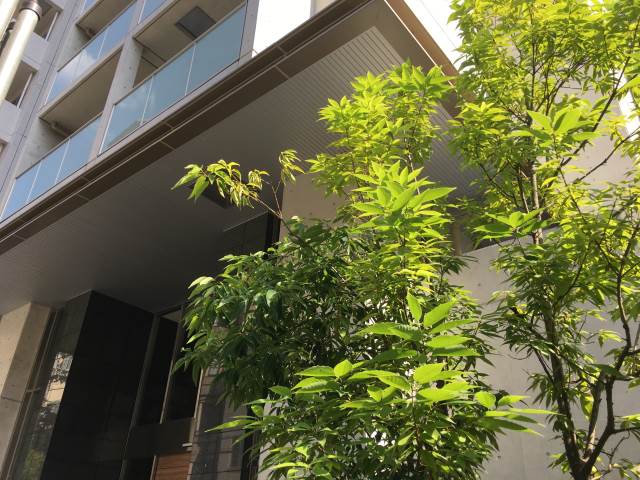 �������ߡ֡׳���