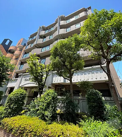 �������ߡ֡׳���