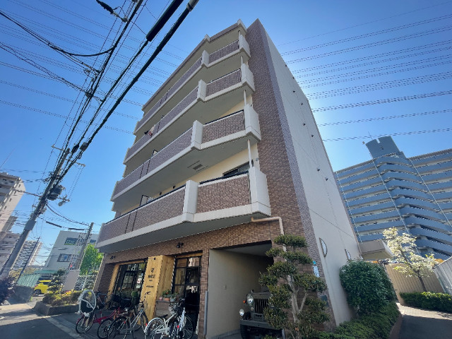 �������ߡ֡׳���