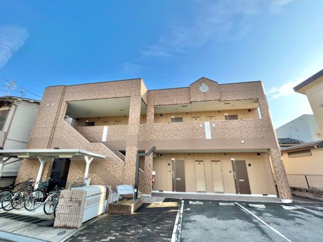 �������ߡ֡׳���