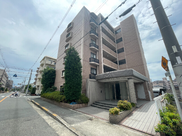 �������ߡ֡׳���