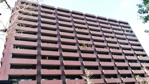 �������ߡ֡׳���