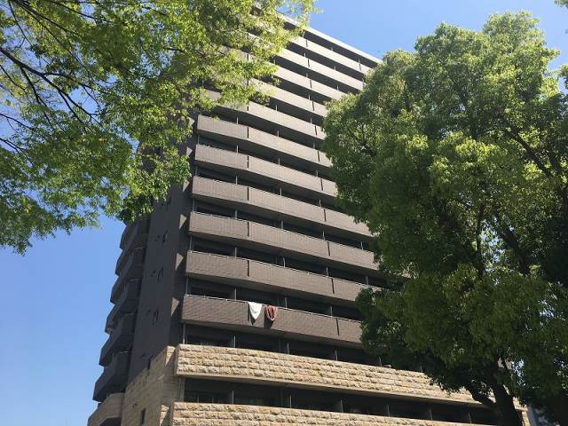 �������ߡ֡׳���