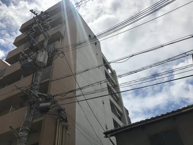 �������ߡ֡׳���