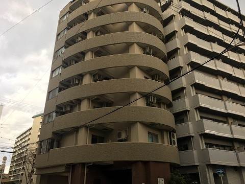 �������ߡ֡׳���