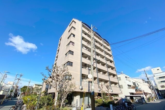 �������ߡ֡׳���