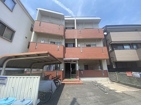 �������ߡ֡׳���