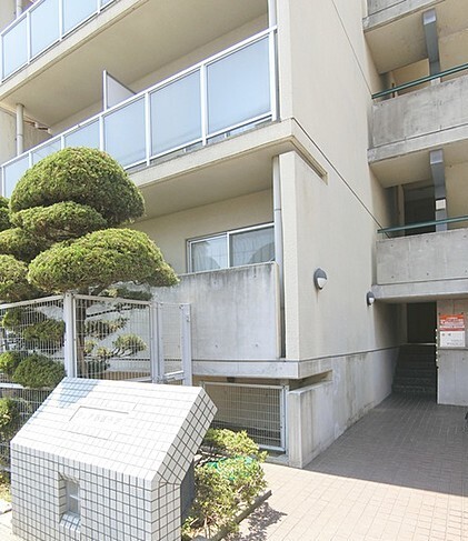 �������ߡ֡׳���