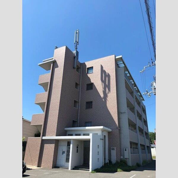 �������ߡ֡׳���