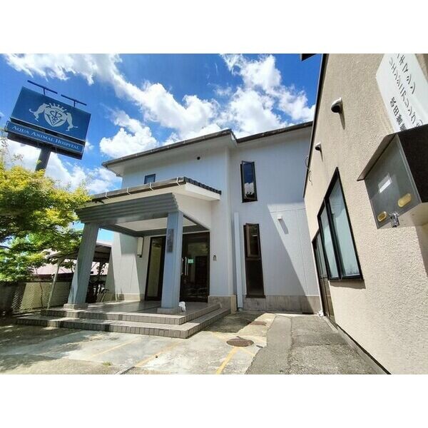 �������ߡ֡׳���