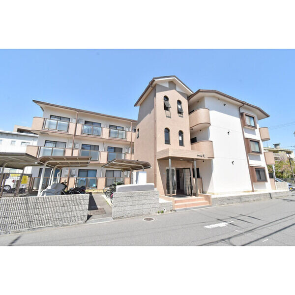 �������ߡ֡׳���