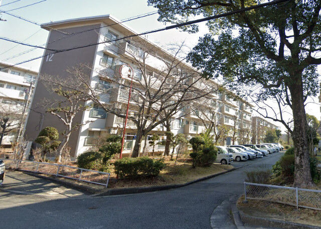 �������ߡ֡׳���