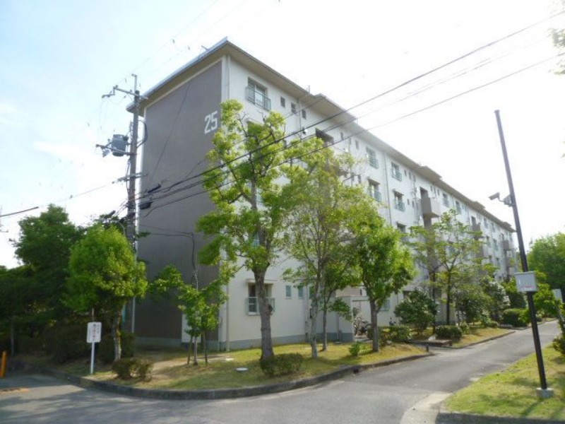 �������ߡ֡׳���