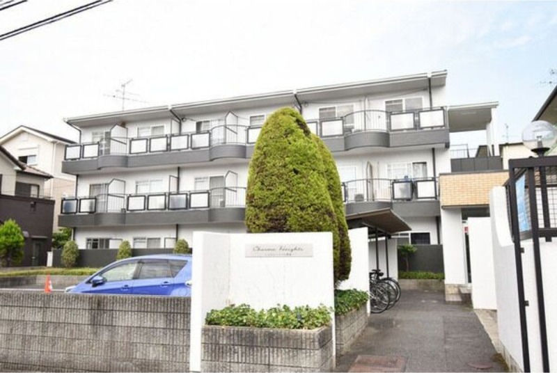 �������ߡ֡׳���