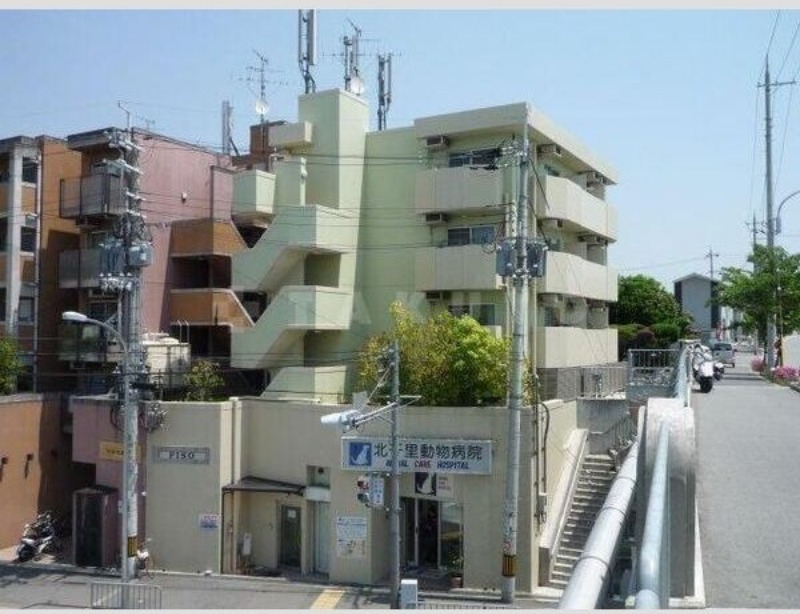 �������ߡ֡׳���