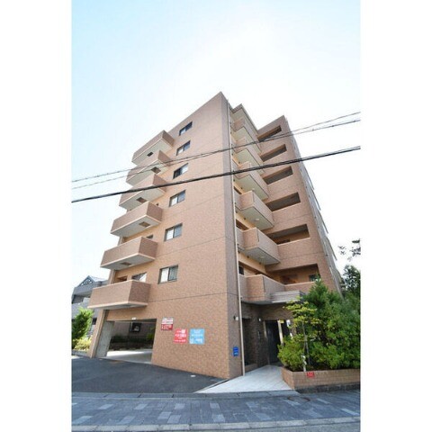 �������ߡ֡׳���