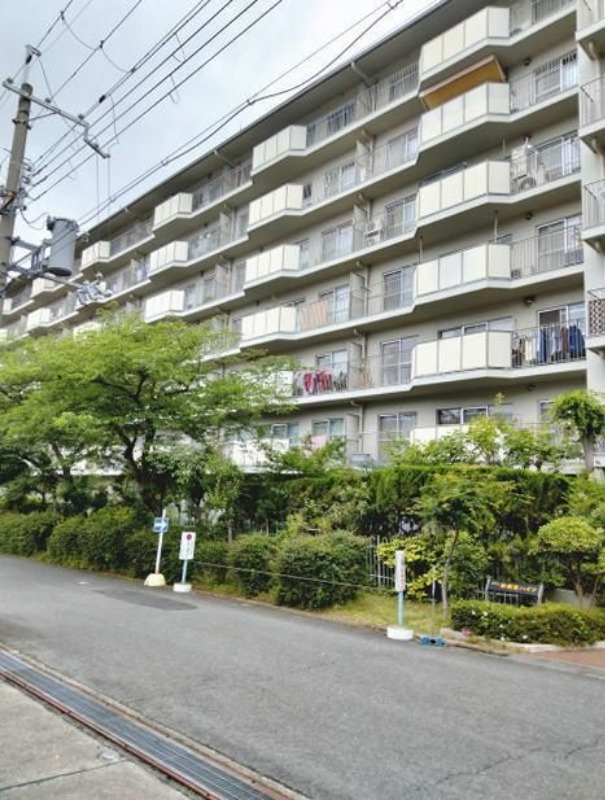 �������ߡ֡׳���