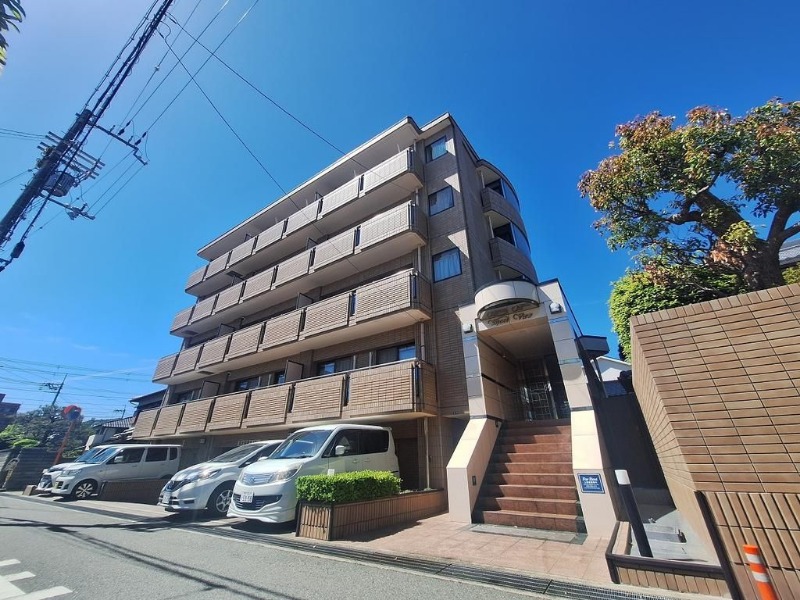 �������ߡ֡׳���