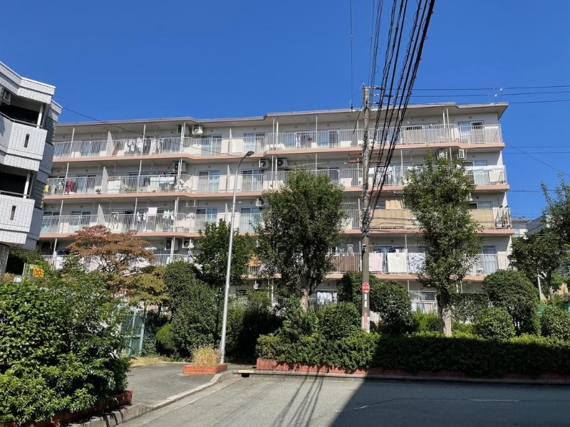 �������ߡ֡׳���