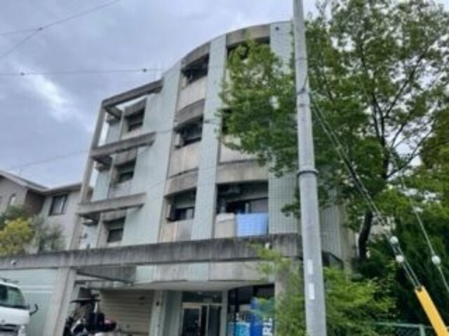 �������ߡ֡׳���